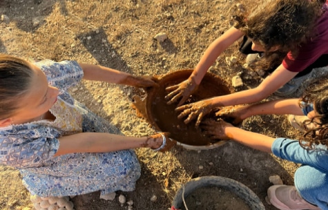 תמונה לביס טבע ראשי1