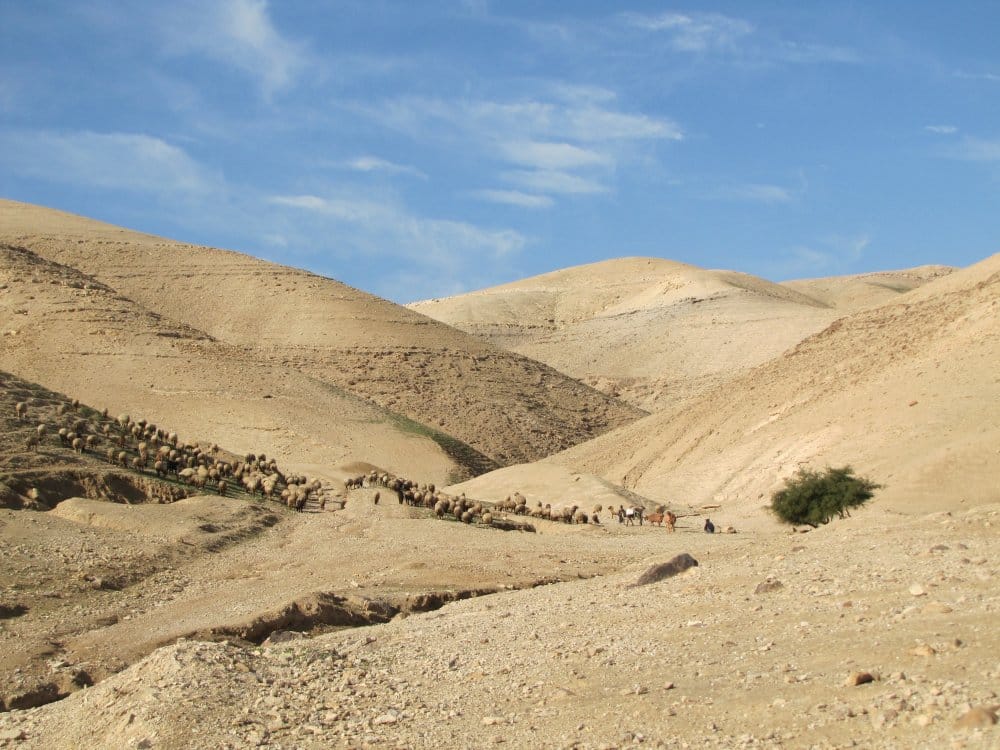 מדבר יהודה_20230324120014.946