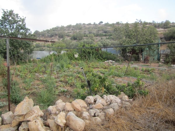 ביר פעור. צילום בנימין טרופר