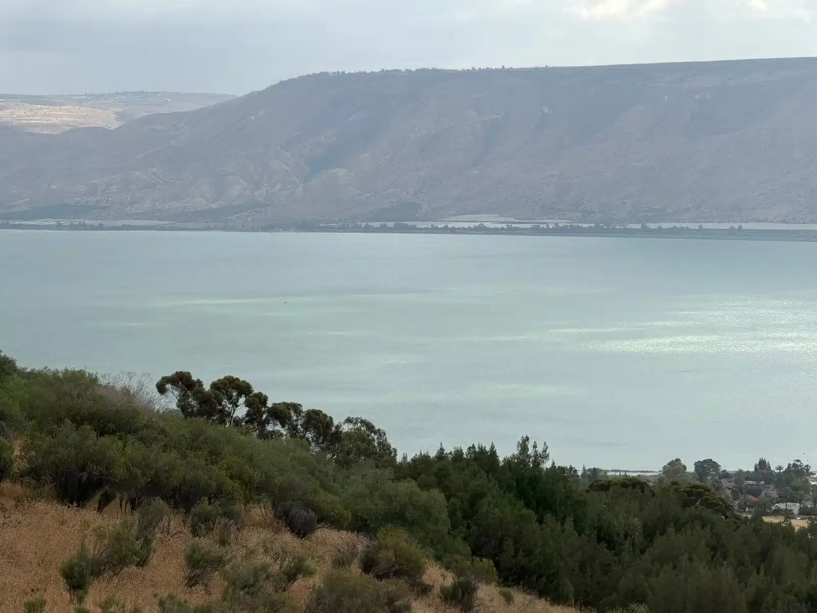 כנרת. קרדיט צילום אפרת קורן