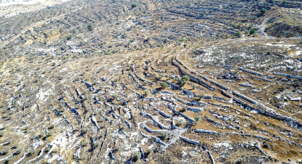 אמת המים התחתונה וקיר האבן המקביל אליה, מבט לדרום על שטח המחקר. צילום ר. לואיס
