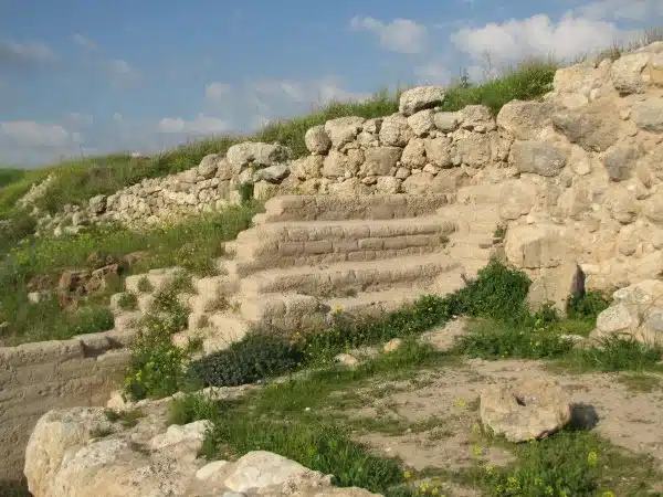 לכיש2