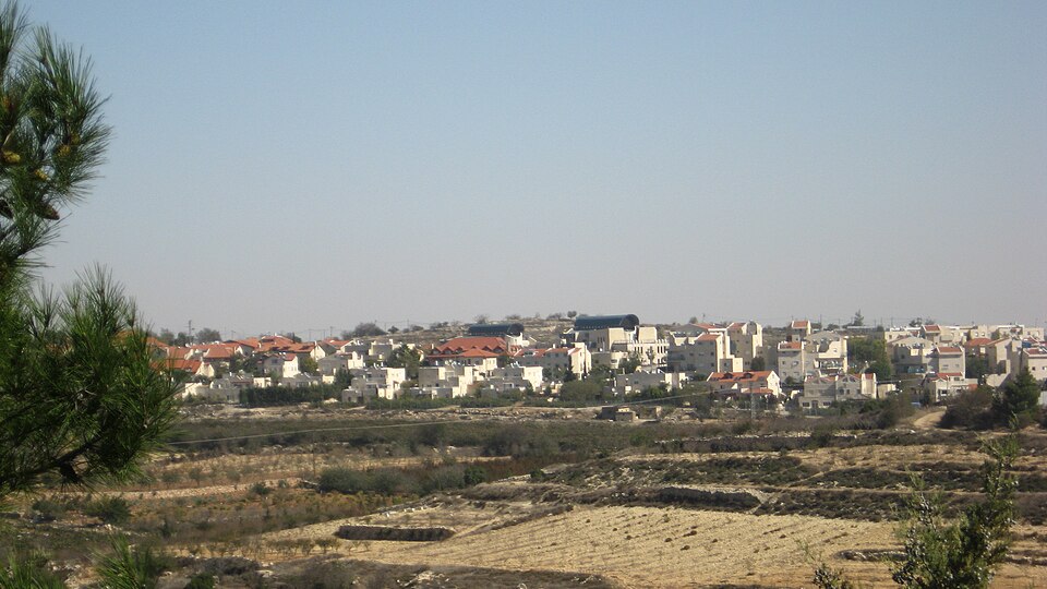 אלון שבות. צילום: יובל קופרמן. מתוך אתר פיקיוויקי.